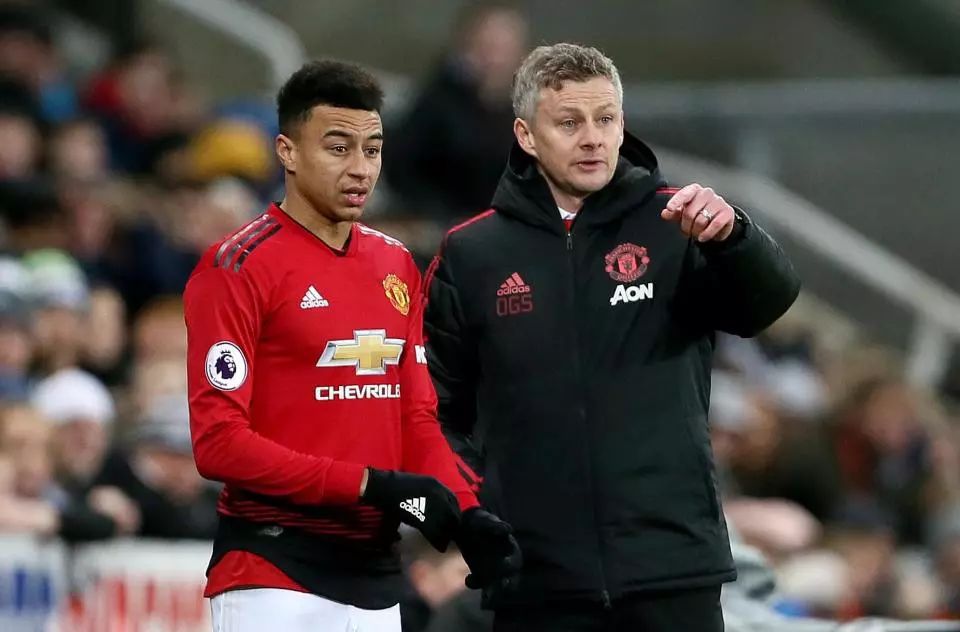 张正伟距离 张正伟距离